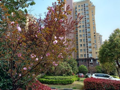 不足,常发香堤澜湾怎么样,常发香堤澜湾周边房产中介经纪人评价-苏州