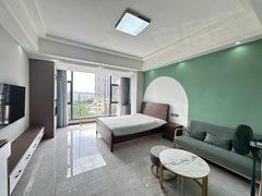 文山文山市新市医院城北 菲尼斯旁边精装公寓 电梯房 没有物业费出租房源真实图片