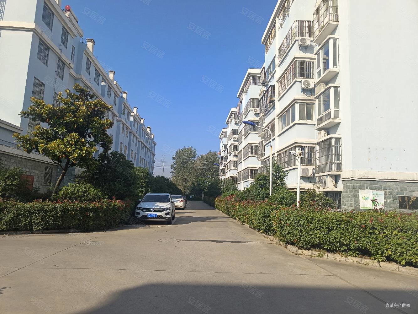 紫金花园(睢宁)3室2厅2卫140.85㎡南北106万