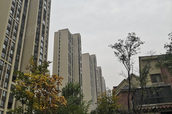 森林半岛(北区)怎么样,森林半岛(北区)周边房产中介经纪人评价-开封