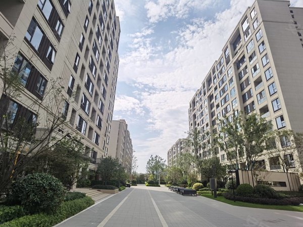 上海浦东临港新城陆家嘴滴水涟岸(公寓住宅)可开租金发票,可以办理