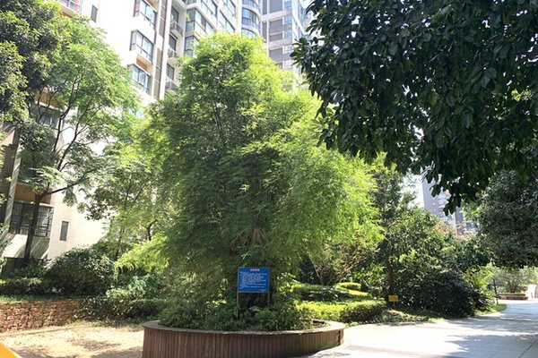 长沙小区 岳麓小区 含浦小区 瑞盛云栖谷 瑞盛云栖谷怎么样