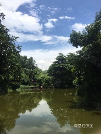 湖景湾花园 三期 狮山大盘 生活配套成熟 居住环境优美