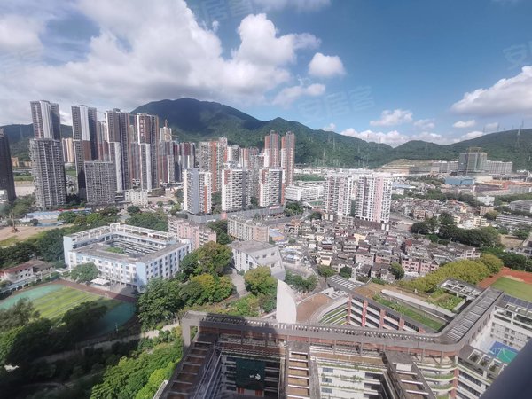 深圳盐田盐田鹏广达山海四季城山海四季花园  大4房2卫 便宜出租 办公