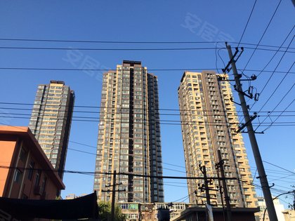 安徽太和县有多少人口_安徽太和县小学图片