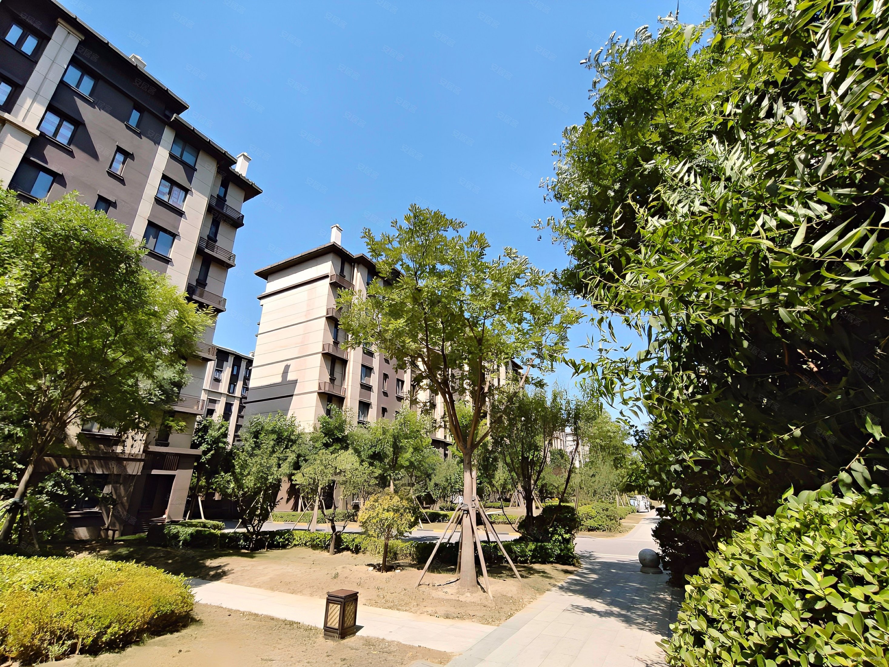 团泊 中骏 洋房 带50平院子 地下两个车位 集中供暖,中骏云景台二手房