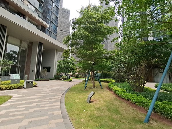 广州荔湾广钢新城保利东郡东郡一期 南向 中高层视野无遮挡 半吉屋有