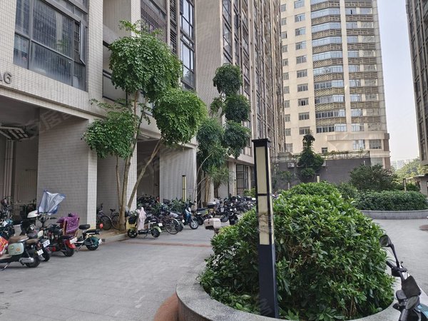 广州花都镜湖大道高晟广场小区高晟广场(高层1房1厅)全新未住 楼下