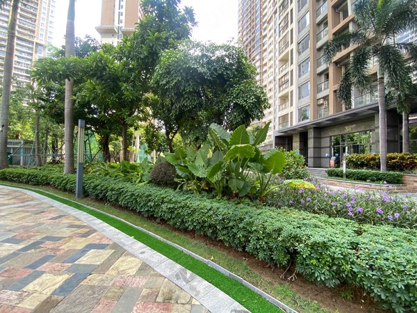 珠海香洲拱北格力香樟格力香樟高层南向一房 精美装修拼手速 仅租2400