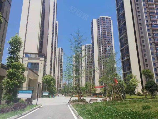 十里店地铁站丛树家园温馨装修拎包入住