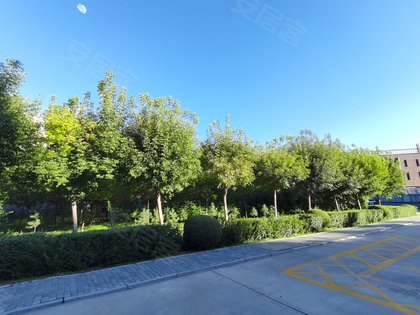 不足,绿岛花园怎么样,绿岛花园周边房产中介经纪人评价-通辽安居客