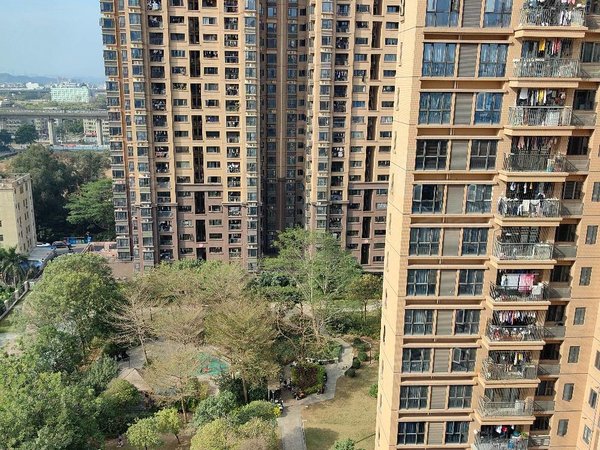 【多图】深业东城御园,坑梓租房,亚迪三村附近三房深业御园朝南户型