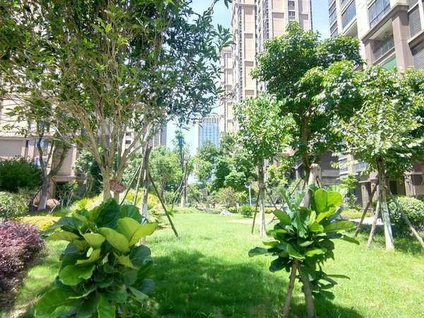 泉州丰泽丰泽街城建水墨兰庭城东万达商圈,三小门口,拎包入住,高层看