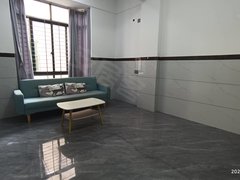 茂名茂南明湖百货新湖二路精装电梯2房1厅出租房源真实图片