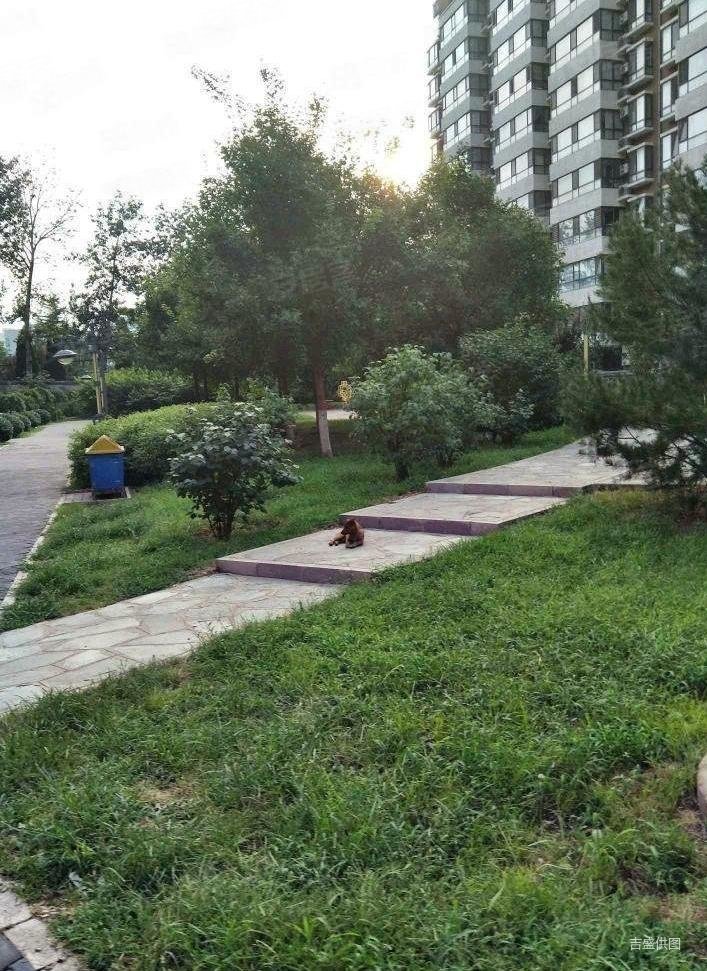 玉泉北里2室1厅1卫98.36㎡南608万