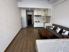 拉萨城关城关 1室0厅1卫出租房源真实图片