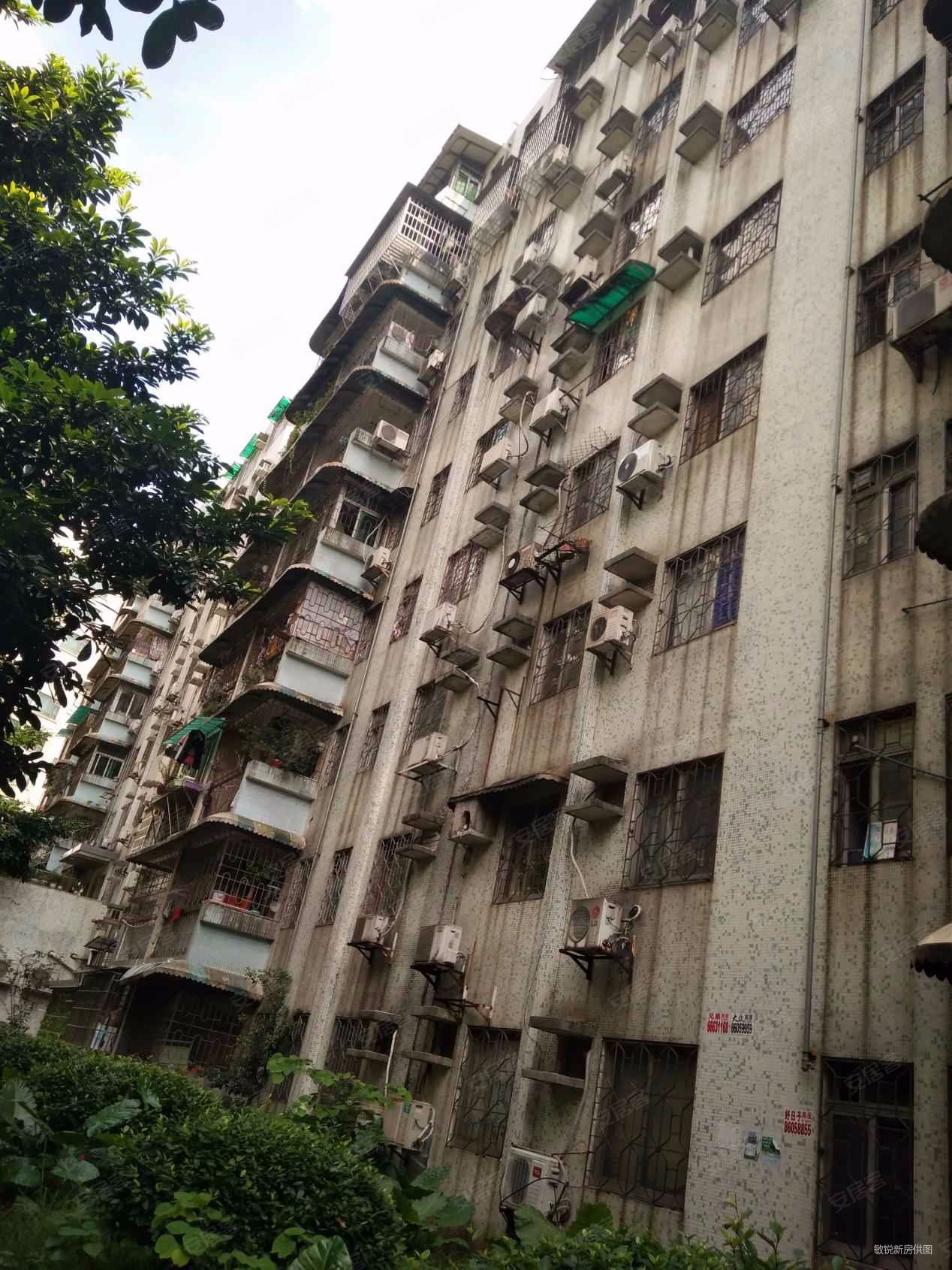 白兰花园两房南向加装电梯全明厅出阳台