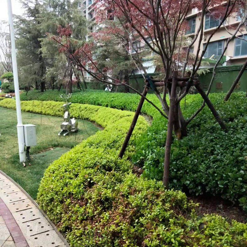 李学 2021-04-25   :49:   在售户型小高层106平三室两厅一卫和128平