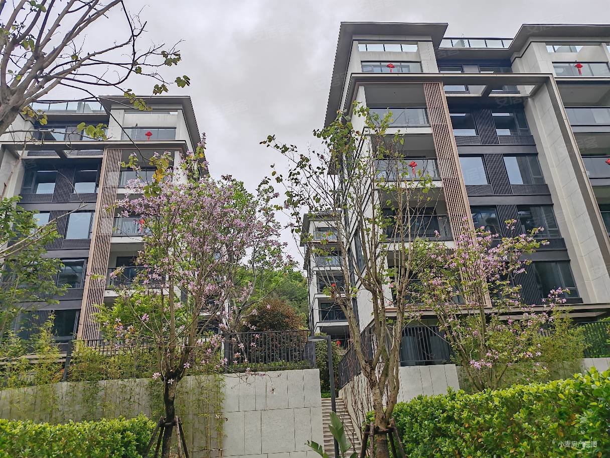 登云湖上叠别墅!国企现房,一手急售,环境优美.配套齐全