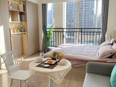 嘉兴秀洲新城街道友谊街 凯旋广场附近 拎包入住 包物业出租房源真实图片