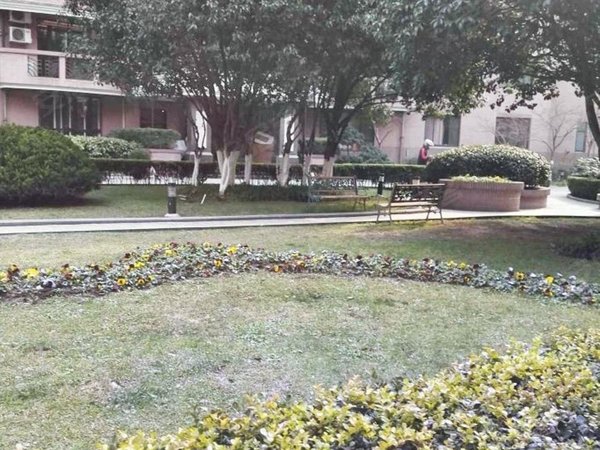 上海长宁西郊公园君悦花园外销房 地铁口 君悦花园 人车分流 豪华装修