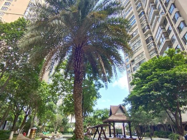 【多图】东海湾和园,东海湾租房,东海湾和园精装修三房出租 房源采光