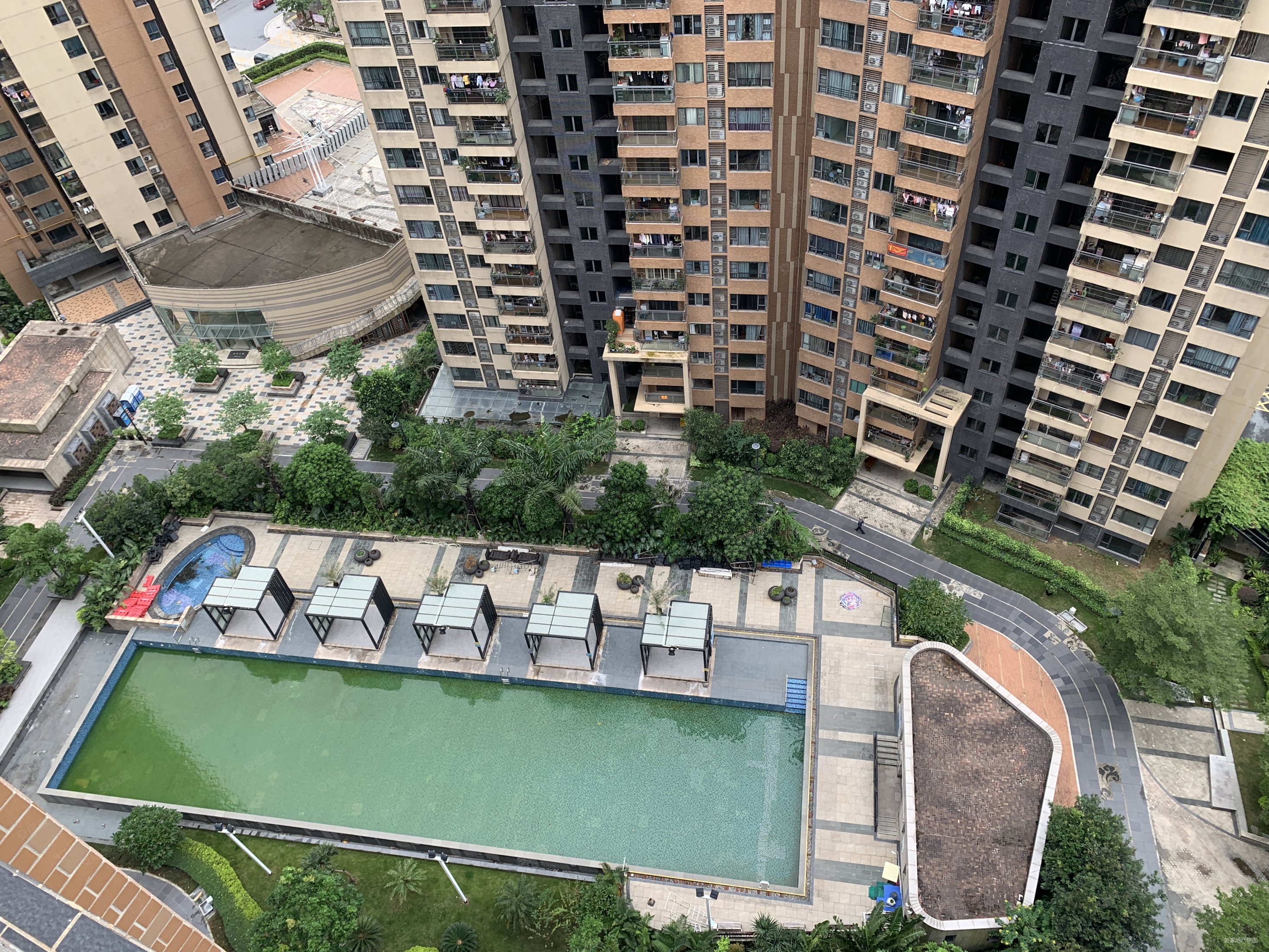 笋也天英朋珑湾南向望游泳池无遮挡价平可小刀随时看