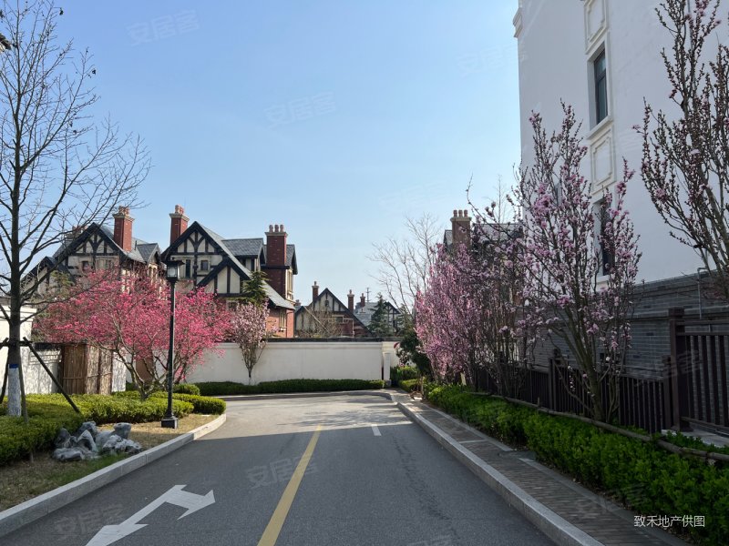 江南合院徽派建筑带装修业主诚心出售大院子