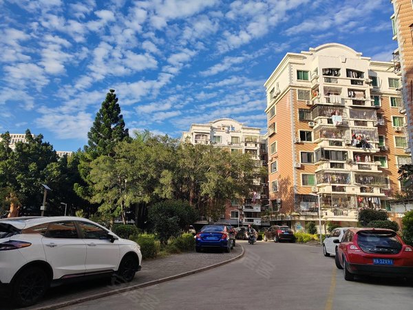 福州晋安远洋路三木花园c区远洋路 光明港公园 地铁光明港站 三木花园