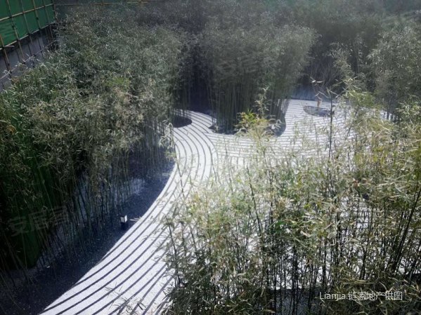 龙洲湾商圈 精装高层 南北通透 支持三无 近茶园