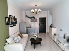 信阳浉河天润广场苏荷公寓 1室1厅1卫 55平 精装修 南北通透出租房源真实图片