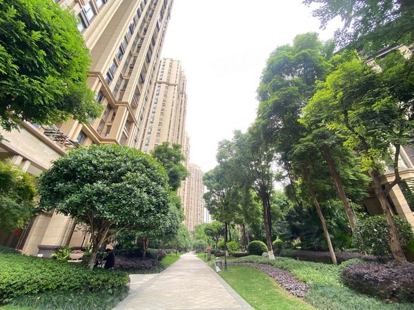 重庆渝北龙头寺鲁能星城六街区可月付龙头寺公园重庆北站动力时光购物