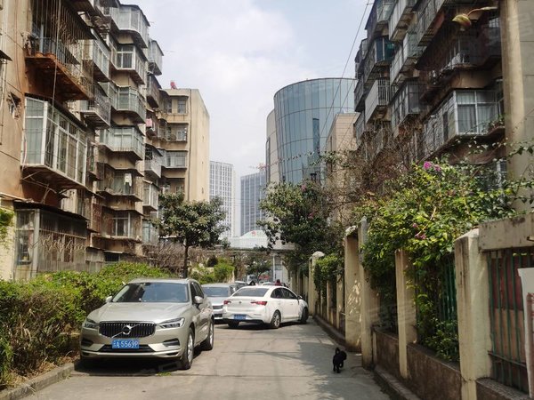 【多图】大树营市政小区b组团,昙华寺片区租房,新迎