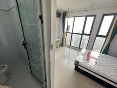 合肥政务合肥八中3号线省博物院地铁口！森林海朝南精装独卫！押一付一！拎包入住出租房源真实图片