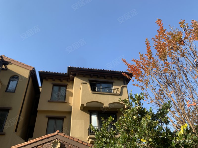 降了150个望府西鉴园边套联排别墅花园800平方