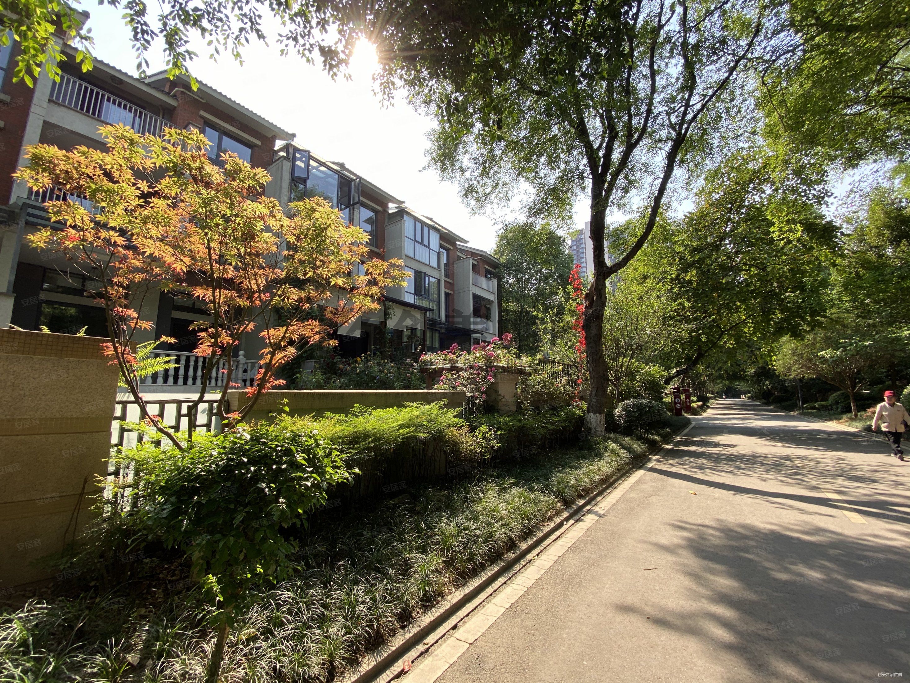 三利宅院3期5室3厅4卫260㎡南北699万