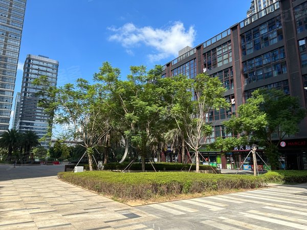 东泰禾一室一厅单身公寓,密码锁随时看房,直租,晋安租房-福州58安居客