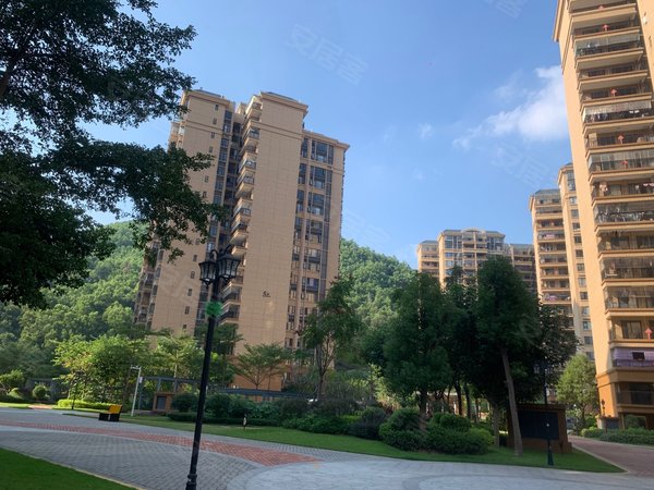 肇庆端州城西光大锦绣山河光大那片海精装3房出租南北对流新净装修