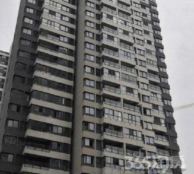 招商1872依云华府 正规商品房 小三房 临地铁 小区新