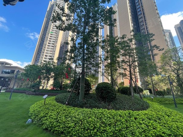 深圳坪山坪山恒大城(二期)坪山中心区 近东北实验 龙坪天虹 双地铁口