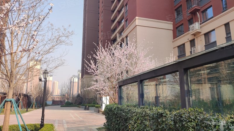 万科翡翠书院1区