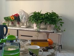 石嘴山平罗平罗玉皇阁北苑小区4楼,新装修,带家具,出租房源真实图片