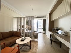 深圳宝安宝体宝体地铁站 轻奢豪华装修开放式采光一房一厅 带车位 拎包入住出租房源真实图片