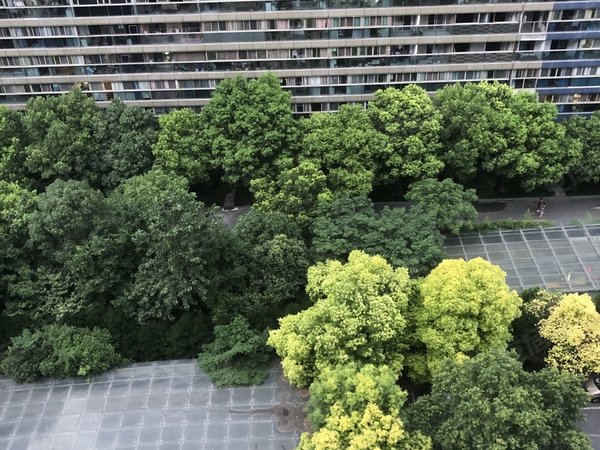 金沙湖高沙双地铁口 月付 天街 白色系 北苑大厦 急租,钱塘租房-杭州