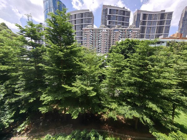 深圳罗湖水库东乐花园(罗湖)东乐花园(罗湖) 2室2厅1卫 87平出租房源