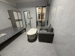 东莞长安厦边厦岗天工智谷，南湖公园精致单间南北通透，采光明亮出租房源真实图片