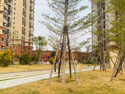 明发国际城,明胜一路31号 - 泉州明发国际城二手房,租房,房价-泉州