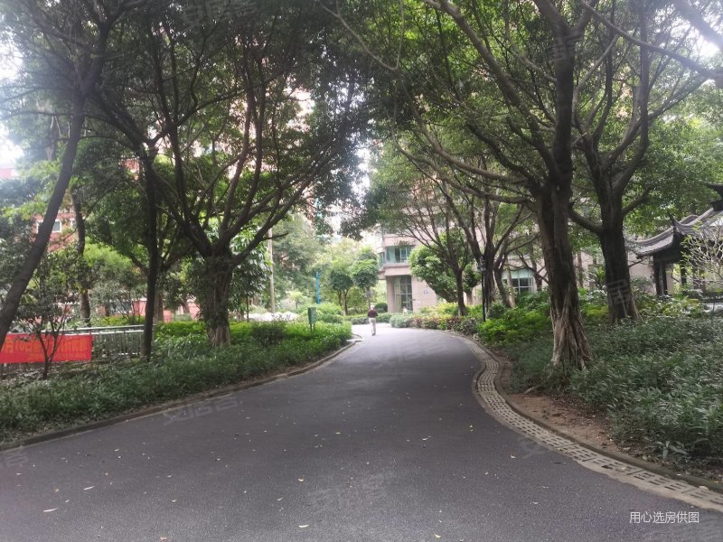 南海颐景园 南向业主急售 满五税少 装修保养好中层看