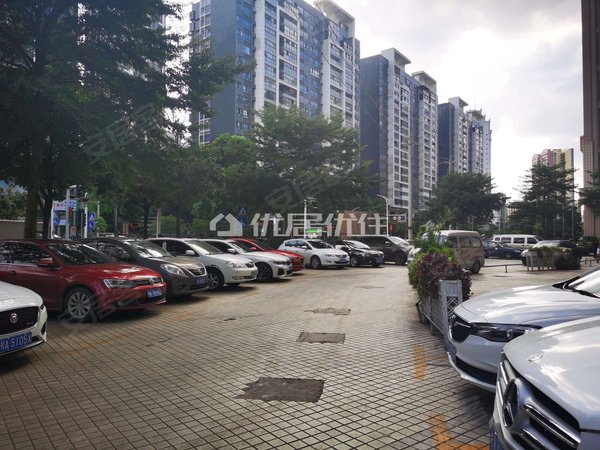 【多图】凤岭名园,凤岭北租房,凤岭名园 1室1厅1卫 配套齐全 电梯房