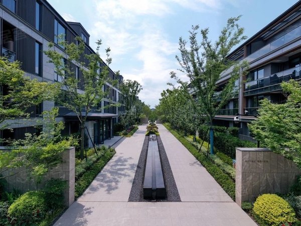 杭州余杭五常晓月澄庐未来科技城,阿里巴巴旁,绿城叠墅,晓月澄庐,拎包